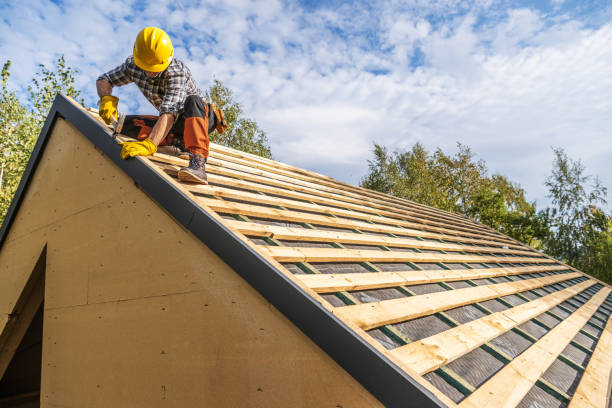 Best Roof Gutter Cleaning  in Braddock Hills, PA