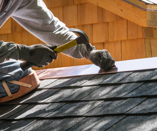 Best Local Roofing Companies  in Braddock Hills, PA